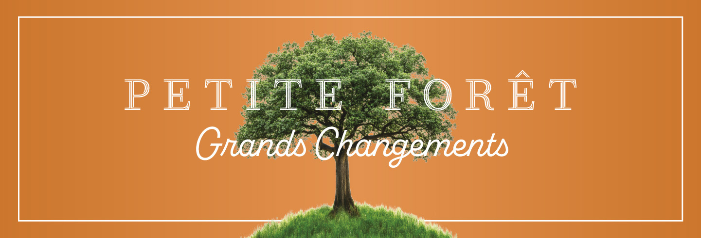 Petite Forêt, Grands Changements