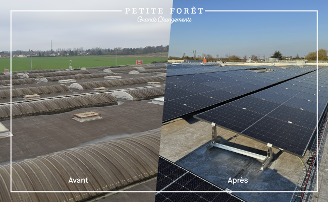 Peanneaux Photovoltaiques Brico Dépôt Petite Forêt