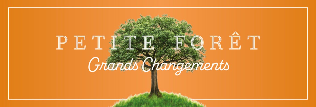 Petite Forêt, Grands Changements