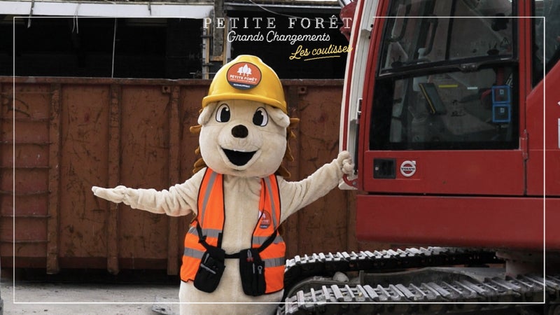 Petite Forêt, Grands Changements : Les coulisses