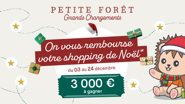 Grand jeu de Noël
